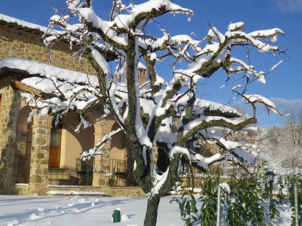 Agriturismo Casal Gheriglio Lucignano Bagian luar foto